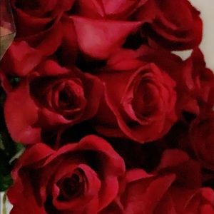 Meet your Posher, Eva